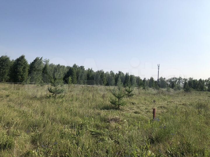 Участок 8 сот. (ИЖС)