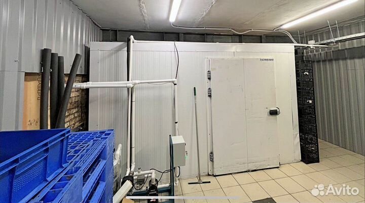 Морозильная камера для икры и рыбы