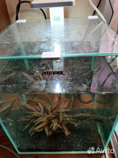 Аквариум акваэль 30 литров
