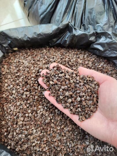 Гречишная лузга, 2кг