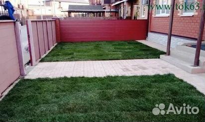 Рулонный газон