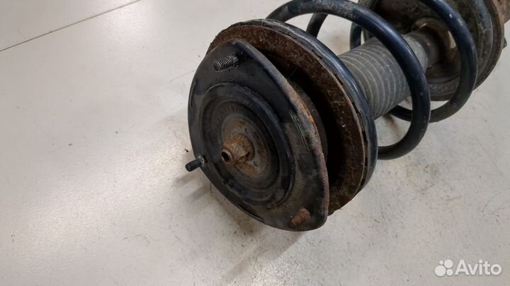 Амортизатор подвески Suzuki Liana, 2005