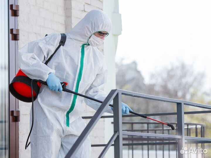 Уничтожение насекомых/Обработка от вредителей