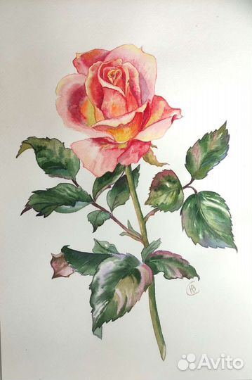Картина ботаническая акварель 