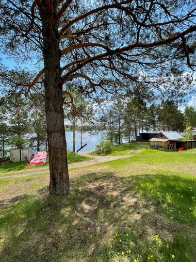 Дом 40 м² на участке 1,2 га