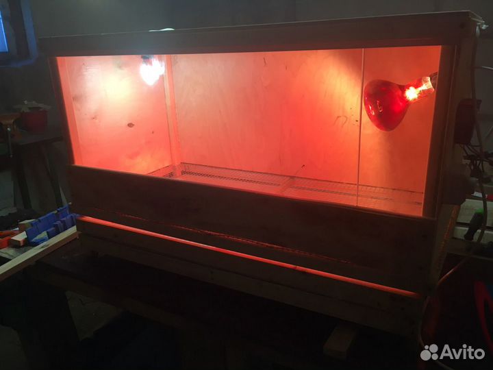 Брудеры б/у для цыплят, утят, индюшат