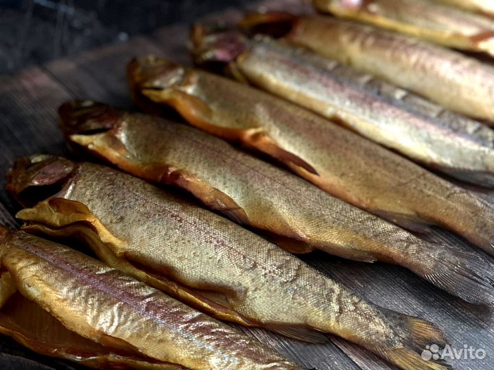 Живая радужная форель