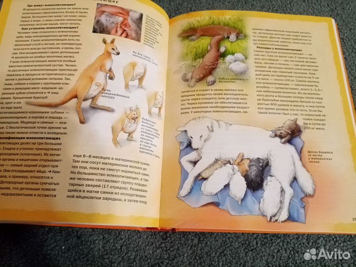 Энциклопедический словарь