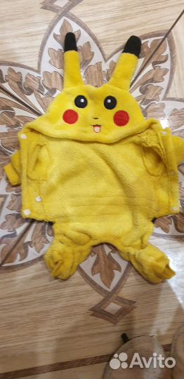 Одежда для маленькой собачки