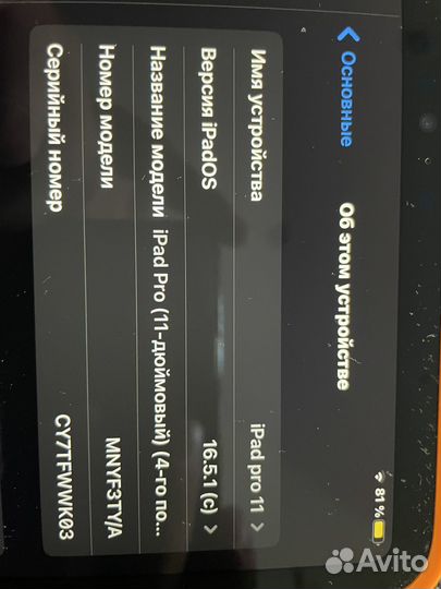 iPad pro 11 2022 256gb wifi + cellular