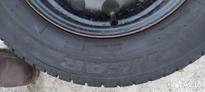 Tigar Winter 1 175/70 R13