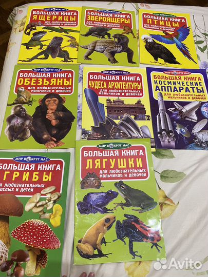 Большая книга