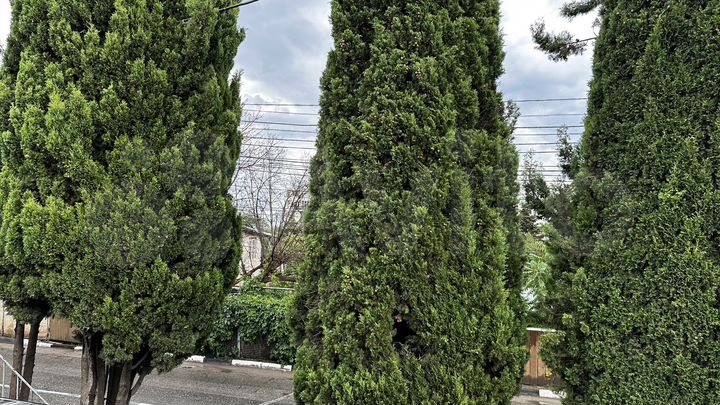 1-к. квартира, 17,6 м², 1/2 эт.