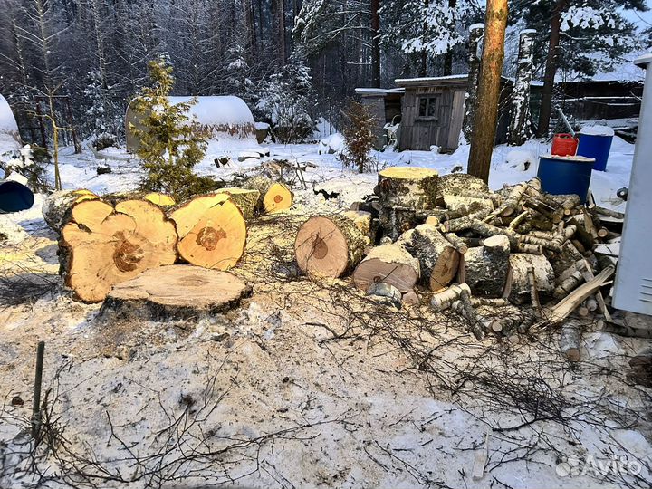 Спил деревьев токсово