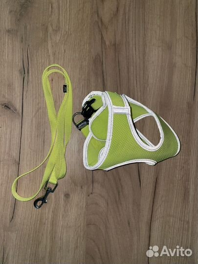 Шлейка с поводком для щенка или маленькой собаки