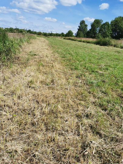 Участок 9,5 сот. (ИЖС)