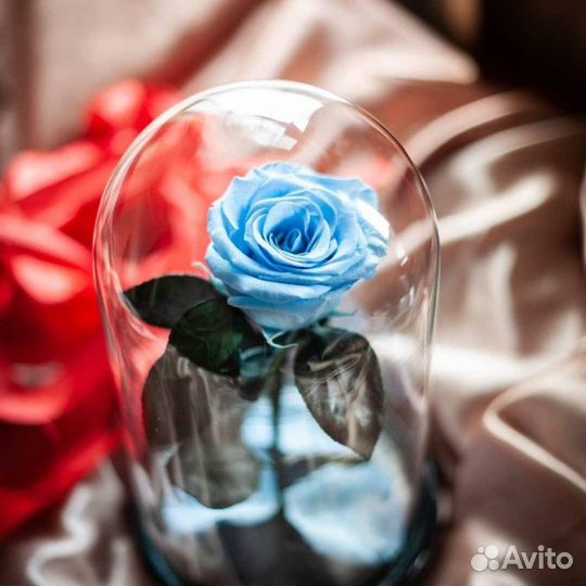 Роза в колбе. Стоит до 8 лет