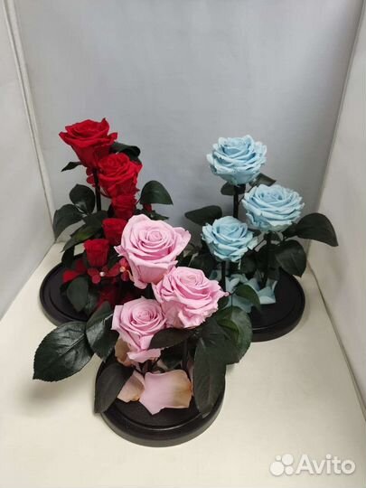 Подарок на новый год/ Роза в колбе