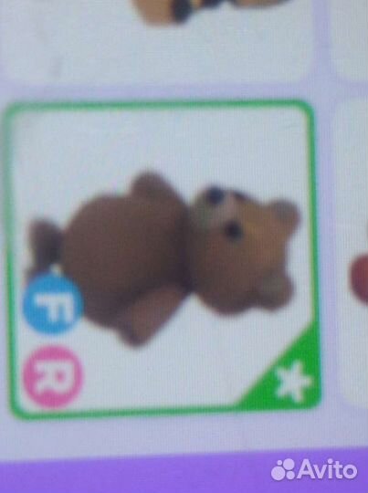 Петы в адопт ми