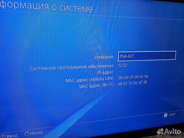 Playstation 4, 500 Гб
