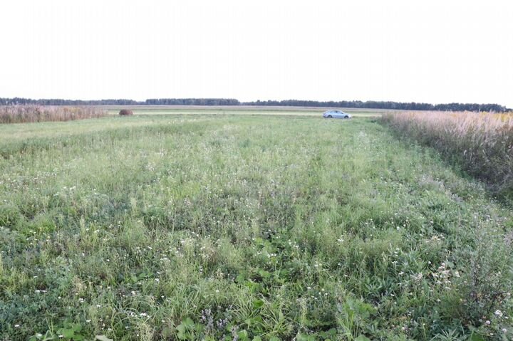 Участок 26,6 сот. (СНТ, ДНП)