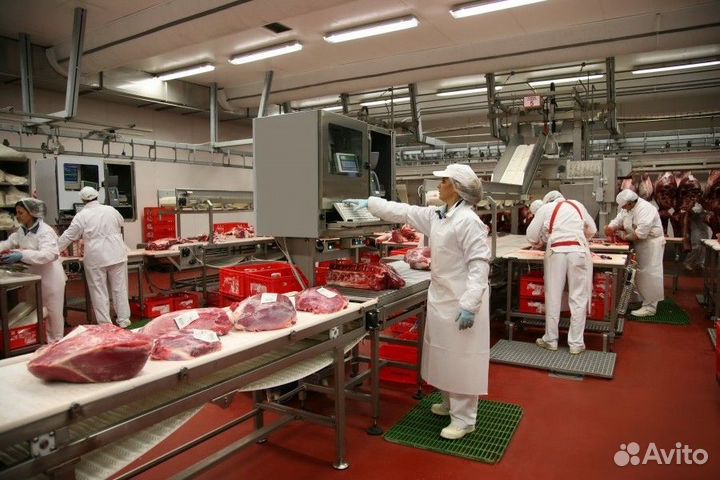 Вахта грузчик на мясокомбинат г.Курск