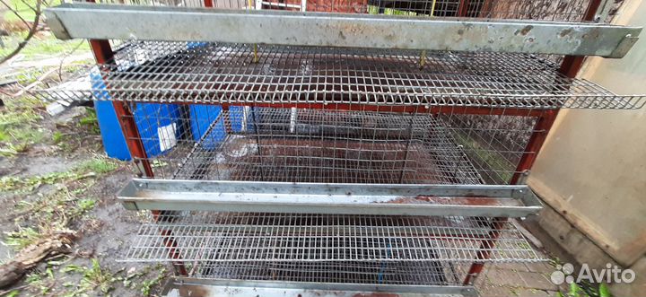 Клетки для перепелов бу