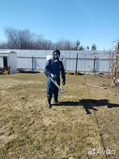 Обработка от клещей и борщевика