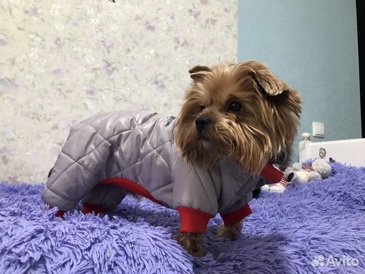 Пуховик для собак