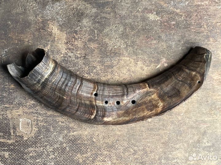 Буккехорны (Bukkehorn ) из рога козла