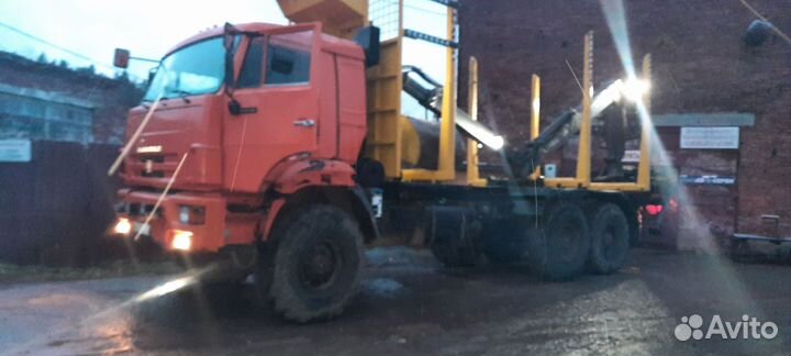 КАМАЗ 43118, 2010