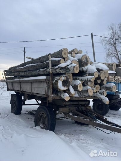 Доска береза