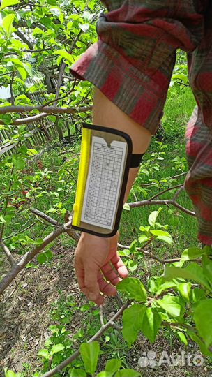 Легендница и чиполержатель для ориентирования