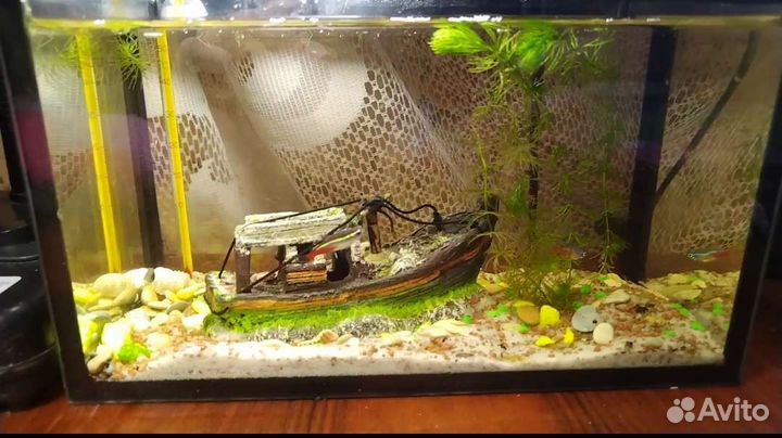 Аквариум с рыбками