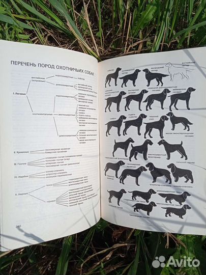 А. Б. Герцен 