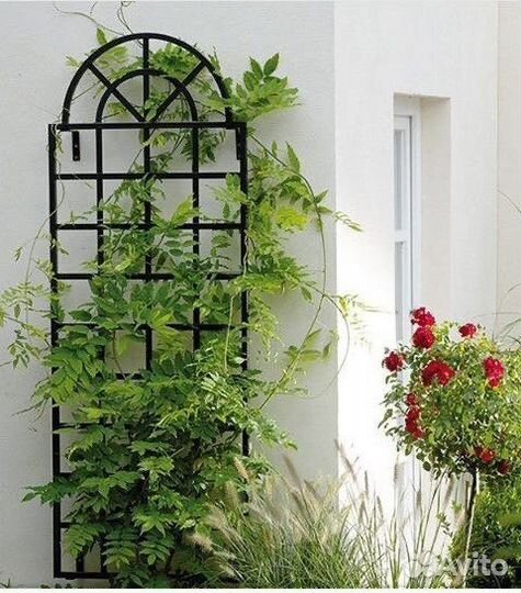 Пергола опора для вьющихся растений