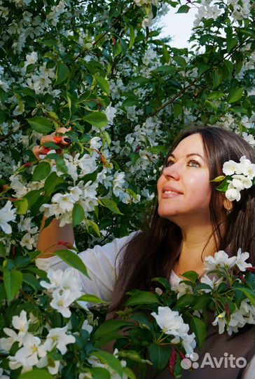 Услуги фотографа