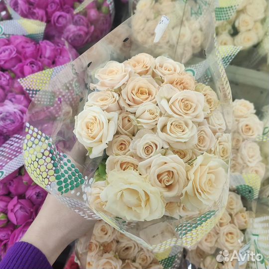 Розы кустовые