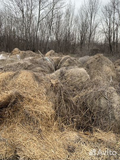 Солома в рулонах