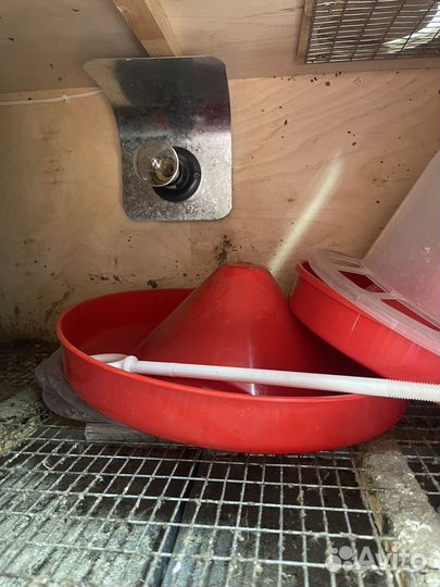 Продается брудер б/у