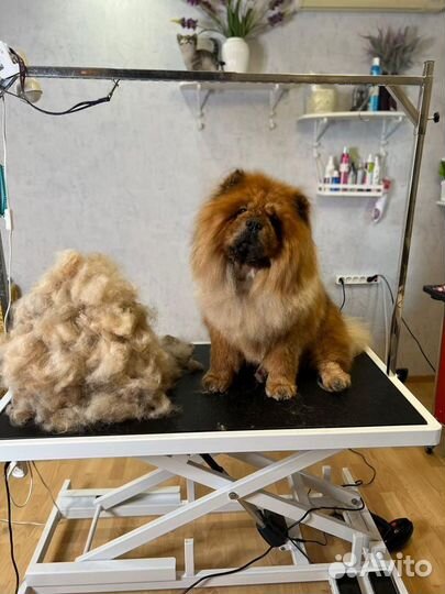 Стрижка собак и кошек. Грумер