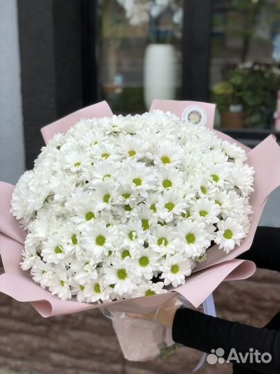 Цветы, букет гигант, хризантемы, ромашки