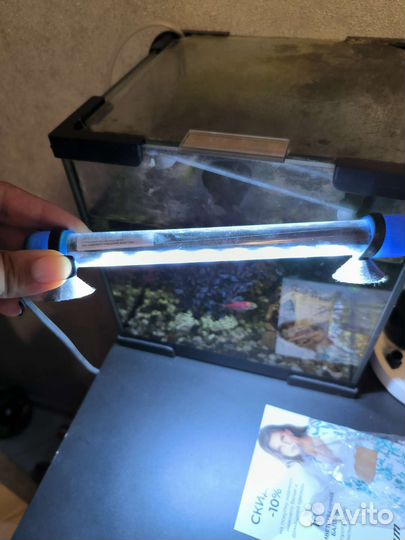 Аквариум