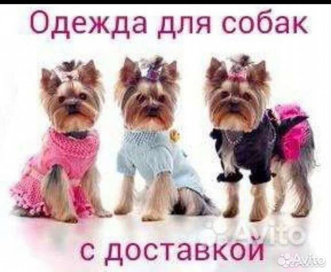 Одежда для собак и кошек с доставкой