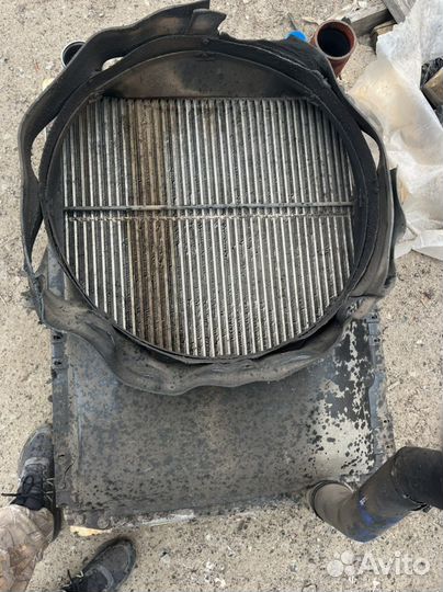 Радиатор маз