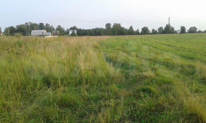 Участок 2,57 га (СНТ, ДНП)