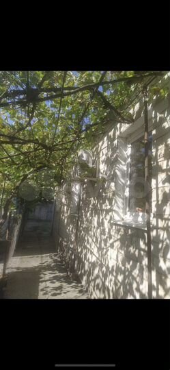 Дом 45 м² на участке 3 сот.