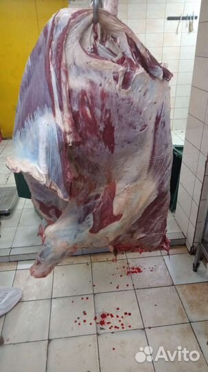 Обвальщик мяса