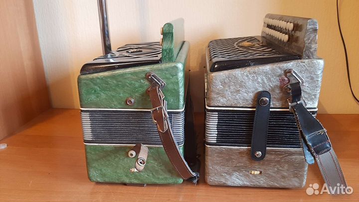 Гармонь чайка 2