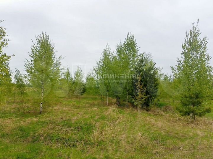 Участок 12,5 сот. (личное подсобное хозяйство (лпх))